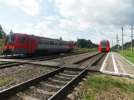 Шаховская тверская область