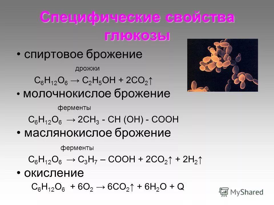 Спиртовое брожение раствора глюкозы. Спиртовое брожение Глюкозы формула. Маслянокислое брожение Глюкозы формула. Брожение Глюкозы реакция. Спиртовое брожение формула.