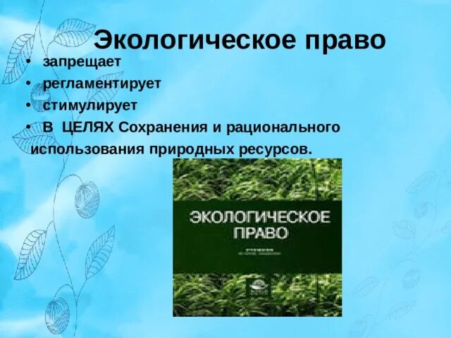 Экологическое право. Экологическое право Обществознание. Экологическое право презентация 10 класс. Презентация экологическое право 10 класс обществознание боголюбов