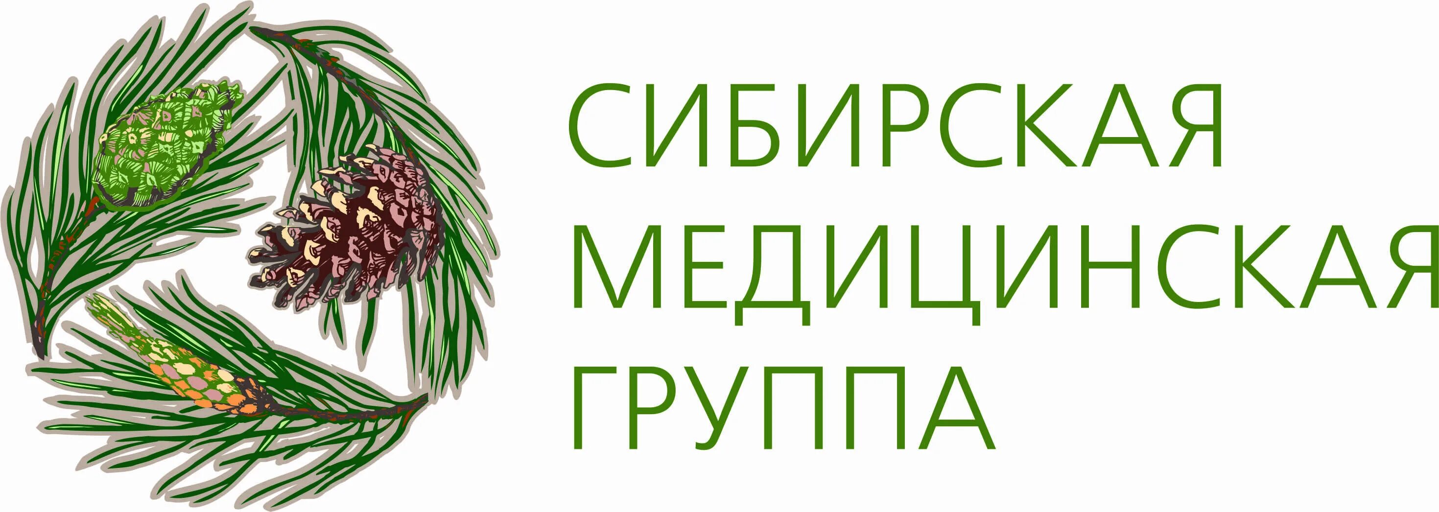 Сиб томск. Сибирь мед клиника логотип. Логотип меда Сибири. Сибирская 31 Томск клиника. Шишки Сибири лого.