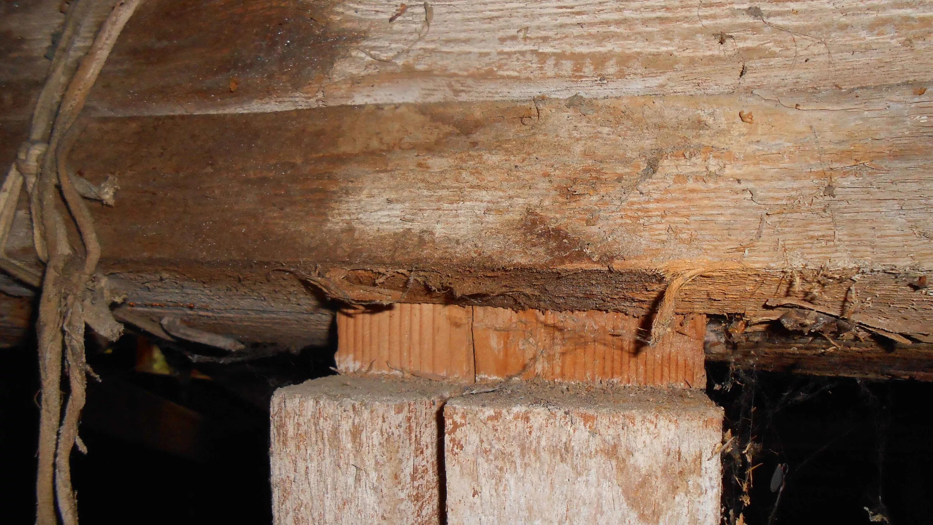 Трещины в крыше. Сгнившие балки деревянные. Трещины в деревянных конструкциях. Гнилое деревянное перекрытие. Дефекты деревянных конструкций.