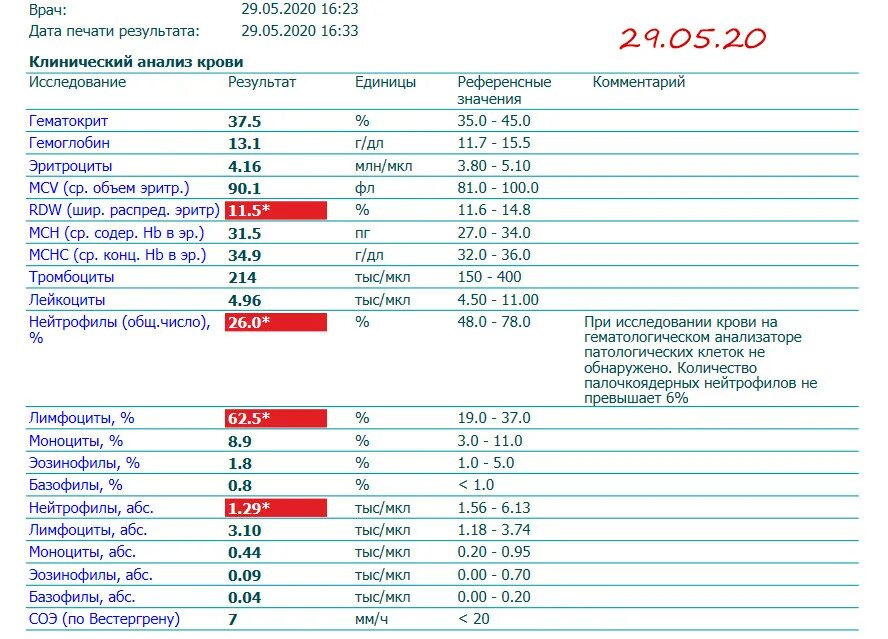 Нейтрофилы АБС норма тыс/мкл. Нейтрофилы АБС 5,48. Лимфоциты АБС,1.14тыс/мкл. Анализ крови повышены лимфоциты нейтрофилы.