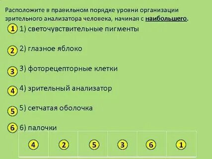 Последовательность соподчинения элементов нервной системы