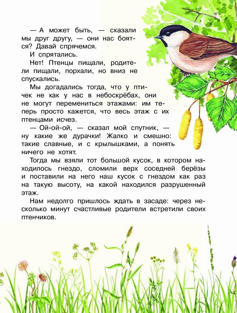 Рассказы о природе. Книги м. Маленький рассказ о природе. Стехотворенеепропрероду. Маленький рассказ о природе.