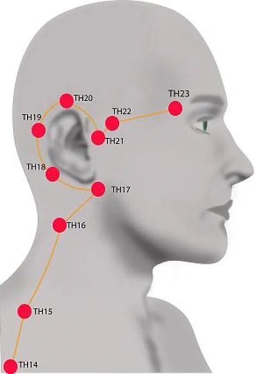 Точка 20 на телефон. Акупунктурные точки на голове. Точки акупунктуры при отите. Акупунктурные точки при отите.