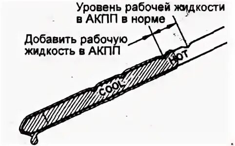 Какой уровень масла должен быть на холодную. Уровень масла в коробке автомат Тойота Королла 120 кузов. Уровень масла в АКПП Тойота Королла 120 кузов. Уровень масла в АКПП Тойота Королла 120.