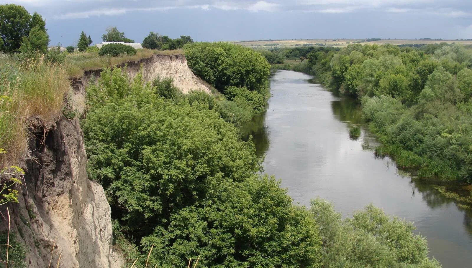 Сейм рыльск. Р Сейм Курская область. Река Сейм в Курской области. Речка Сейм Курск. Река Сейм Курск.