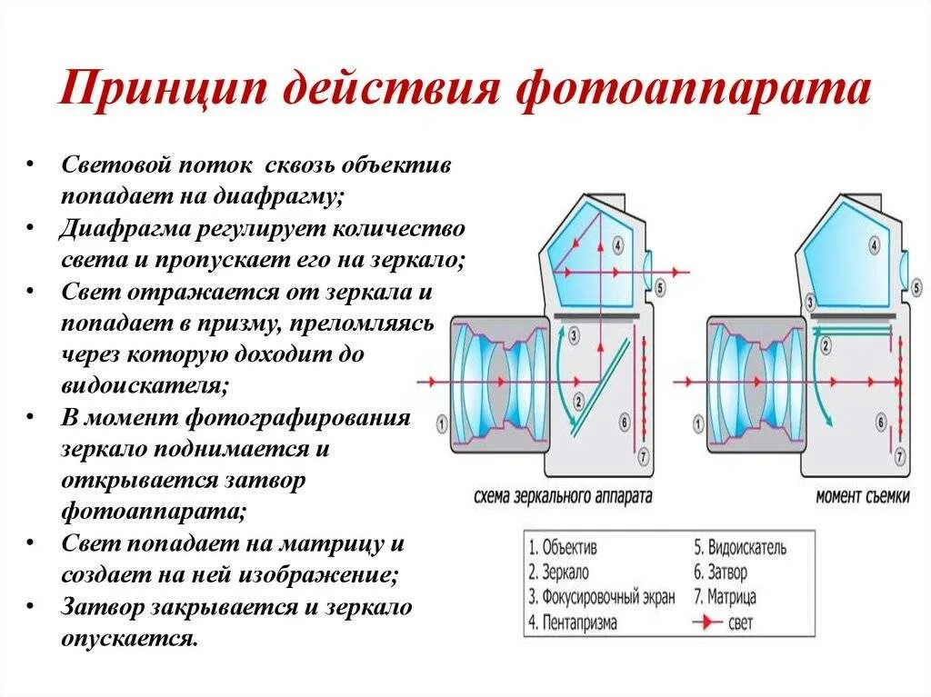 Принцип работы камеры. Устройство и принцип действия фотоаппарата. устройство зеркального фотоаппарата. принцип работы фотоаппарата схема. принцип работы цифровой камеры.