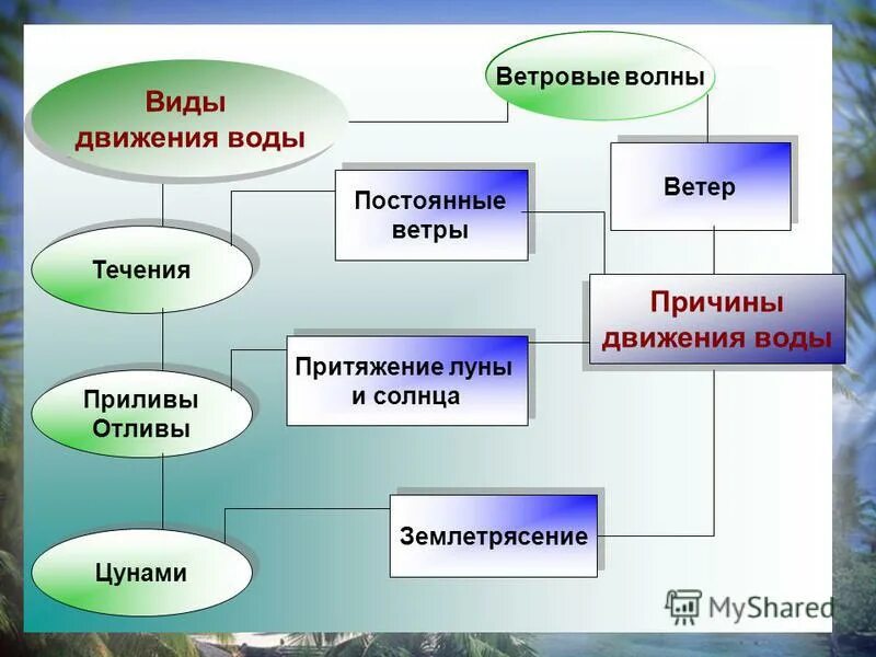 Виды движения в природе. Виды движения. Виды движения физика. Виды движения таблица. Примеры различных видов движения.