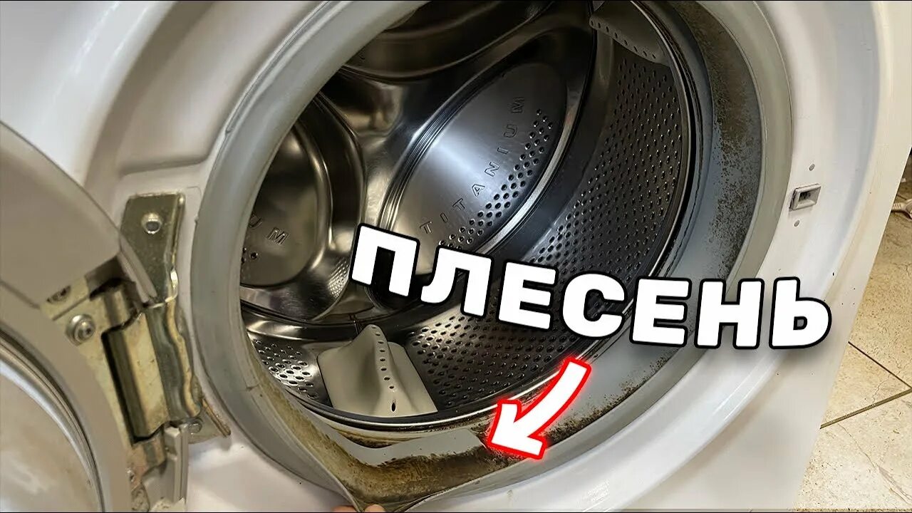 Чистить стиральную машину от плесени