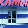 Рыболовный корейский рынок в ростове. Камыш магазин товары. Магазин камыш. Продаются ли в магазинах цветов камыши. Камыш магазин товары.