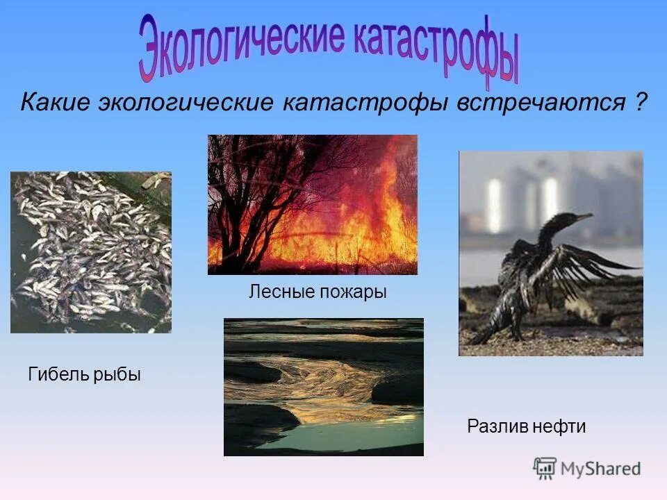 Экологическая катастрофа это 3 класс. Экологическая катастрофа. Экологические экологические катастрофы пожарные Лесные. Экологическая катастрофа 3 класс окружающий мир. Проект экологическая катастрофа.