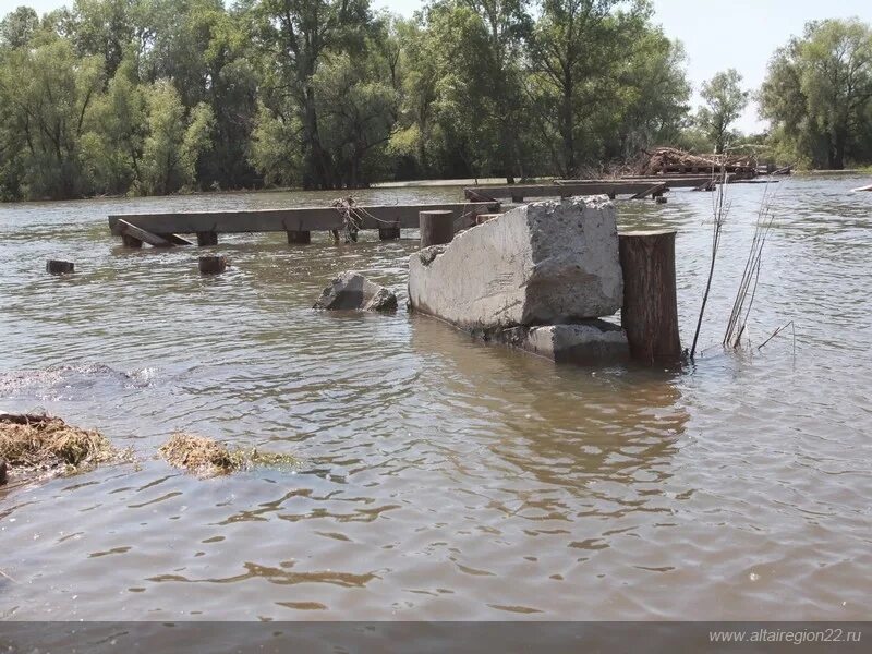 Село чеканиха алтайский край. Погода в клепиково алтайский. Клепиково алтайский край. Погода в клепиково алтайский. Погода в клепиково алтайский.