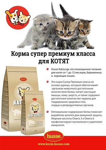 Супер премиум корма для котят. Корм для котят супер премиум.