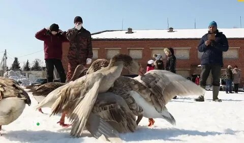 Оказаться п
