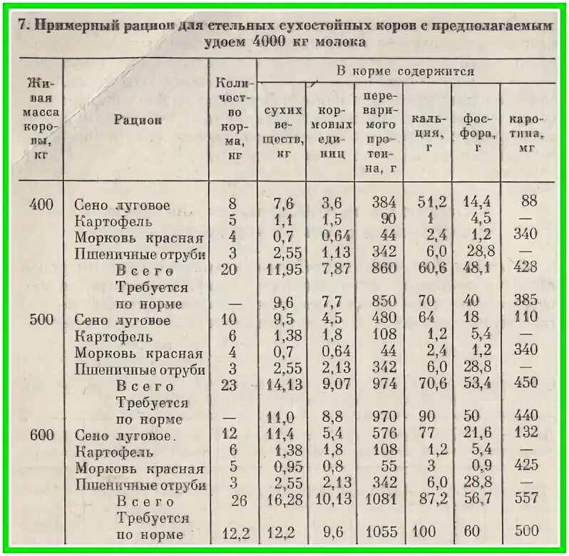 Через сколько после отела можно пить молоко