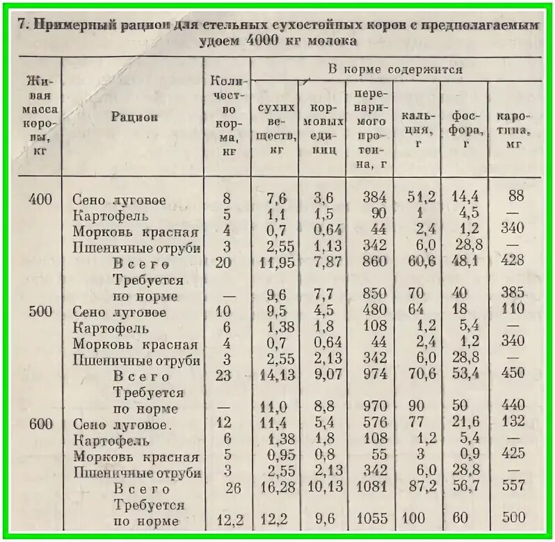 Суточный рацион питания для дойной коровы. Рацион кормления коров первотелок. Таблица стельности коров. Рацион КРС дойных коров.