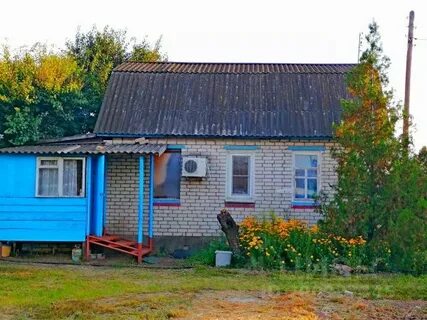 Снт химик волгоградская область
