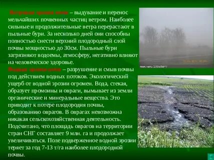 Процесс разрушения почвы водой и ветром