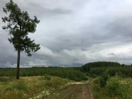 Погода село сухое омская область