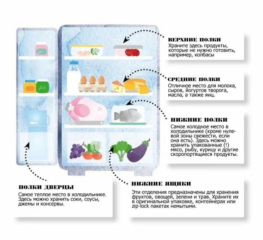 Хранение продуктов в холодильнике. Памятка хранения продуктов в холодильнике. Холодильник с продуктами. Товарное соседство в холодильнике