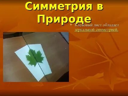 Листок симметрия