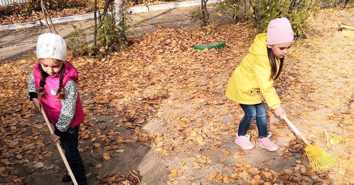 Собственный труд ребенка. Труд в природе. труд детей в природе. детям о труде. коллективный труд детей.