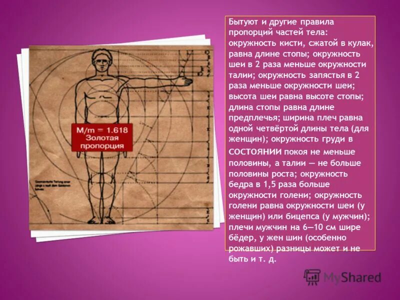 Чему равна стопа. Длина предплечья. Чему равна длина предплечья. Как выбрать размер бандажа для руки. Пропорции ладони.