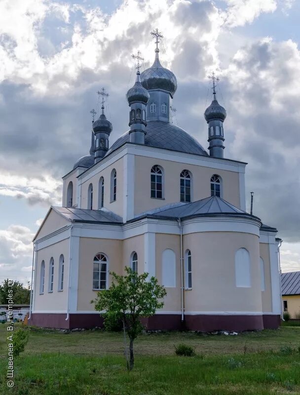 Белая березка трубчевский район брянской области