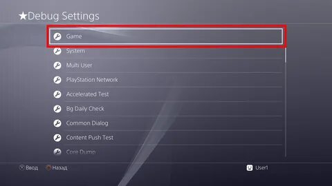 Debug setting