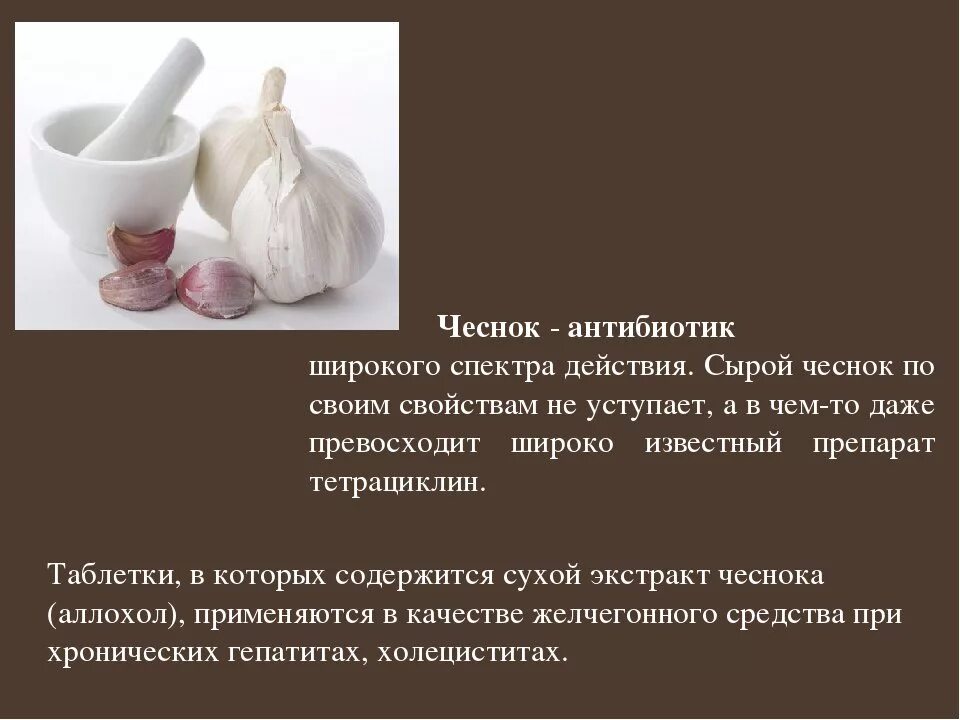 Для чего используют чеснок. Интересные факты о чесноке. чеснок презентация. информация о чесноке. сообщение о чесноке.
