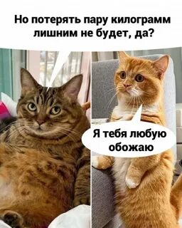 Я так понимаю вы больше не