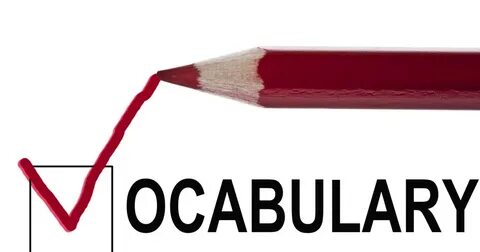 New vocabulary