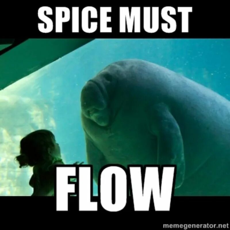 The spice must flow. Шпайш машт флоу мем. дюна the spice must flow.