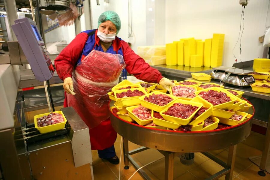 ищу работу в осколе. татьяна ченцова старый оскол. как работает повар. уборщик цеха. старый оскол свинокомплекс промагро.