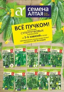 Семена заказ интернет магазин партнер семян каталог