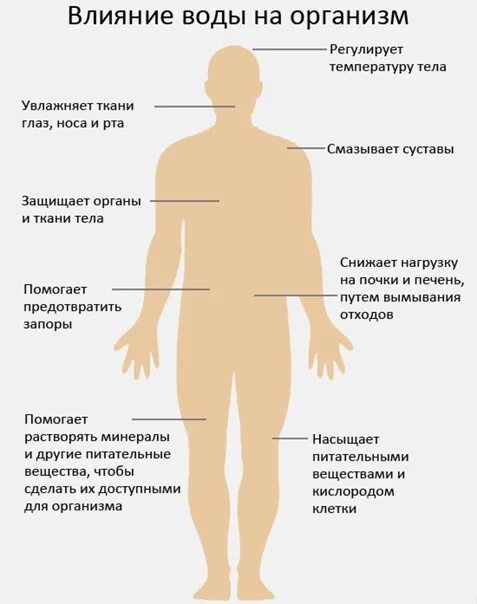 Какое значение для человека имеет вода - Вопросы и ответы