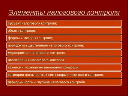 Принципы организации налогового контроля