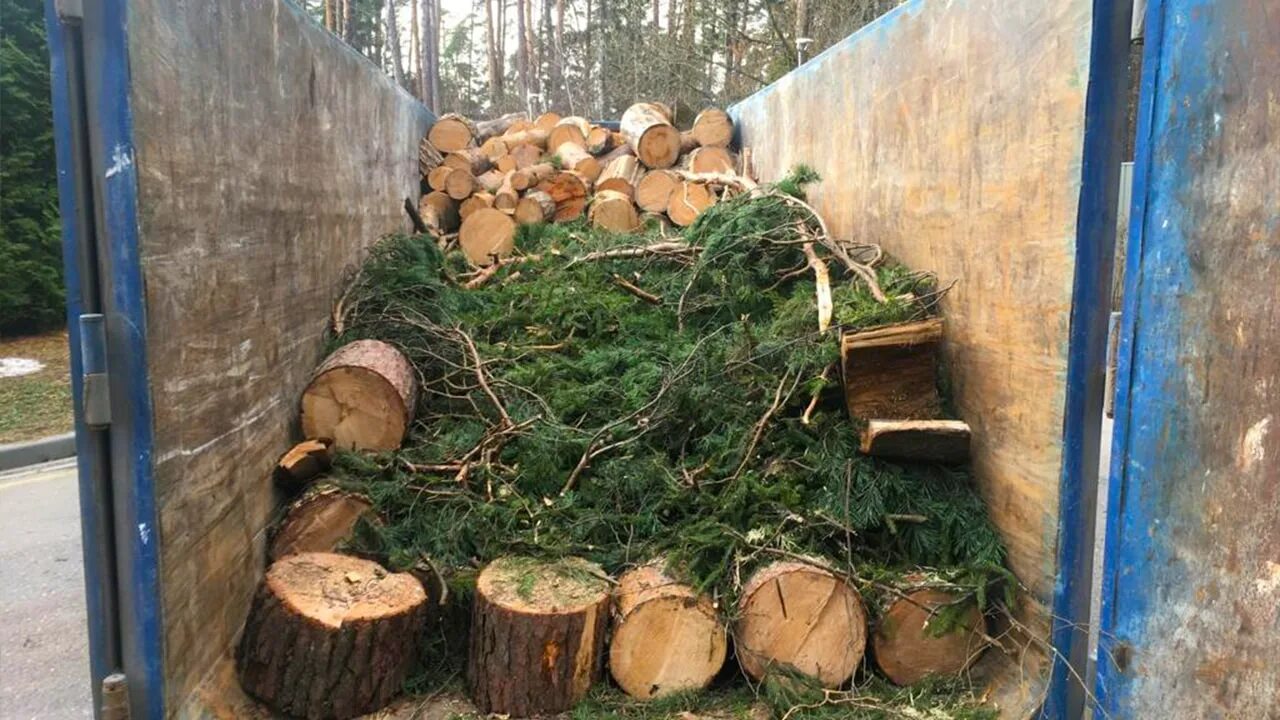 Вырубка утилизация