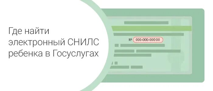 Логин снилс как вводить. Как узнать номер элн по снилс. как поменять снилс при смене фамилии. номер снилс уже используется в другой учетной записи госуслуги.