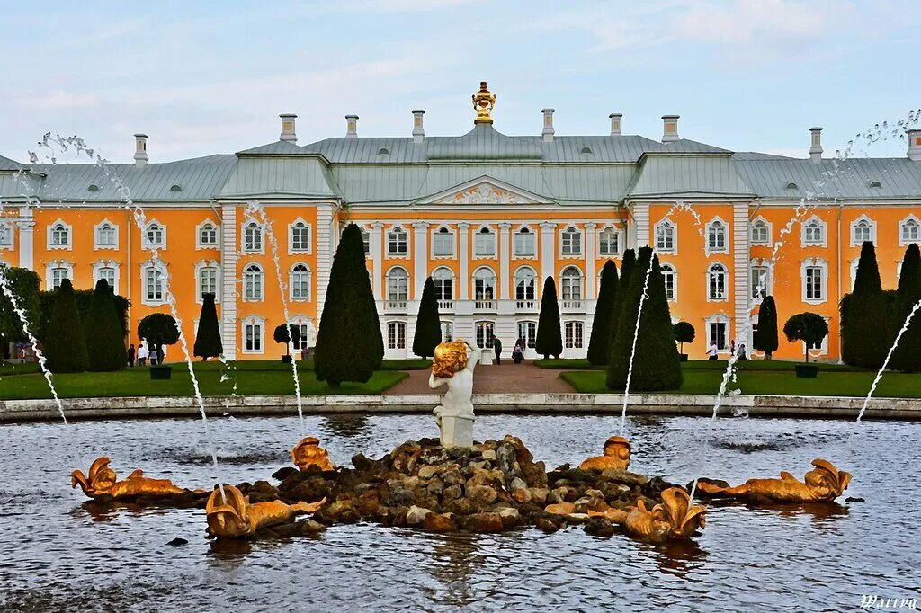 Петрович петергоф