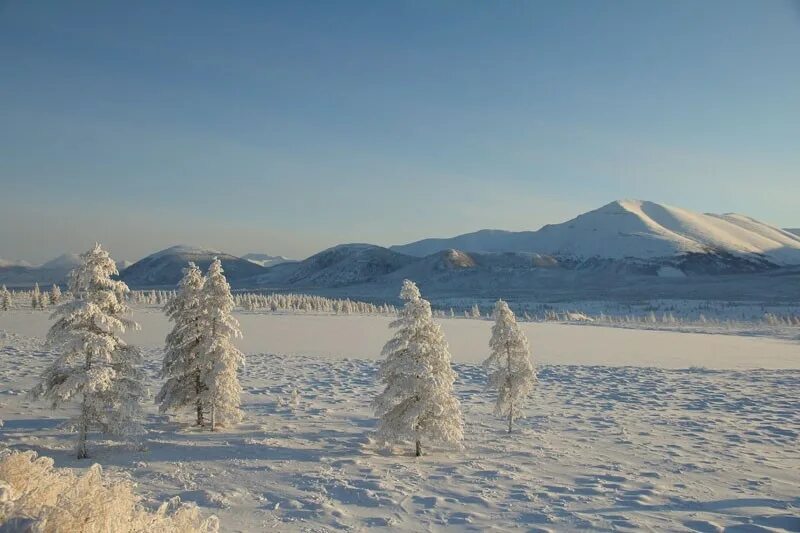 Путешествие в верхоянск. Оймяконская долина в якутии. Якутия горы оймякона. Полюс холода северного полушария самые низкие температуры. Село оймякон.