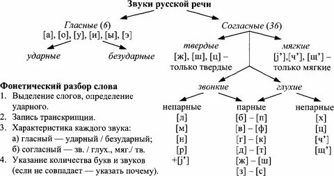 Таблица Звуки русской речи и фонетический разбор слова - Таблица.РУС