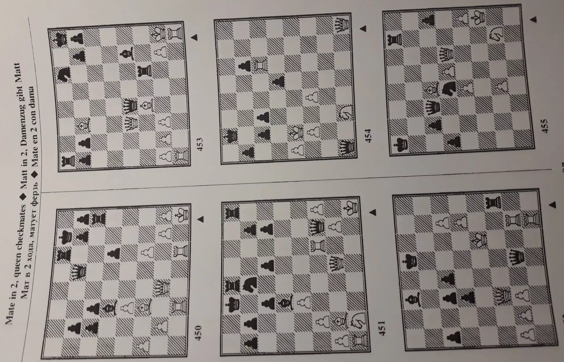 Мат комбинации. Шахматный Этюд мат в 2 хода. Мат в 1 в 2 хода задачи шахматы. Задачки по шахматам мат в 2-3 хода. Задачи по шахматам мат в 2 хода.
