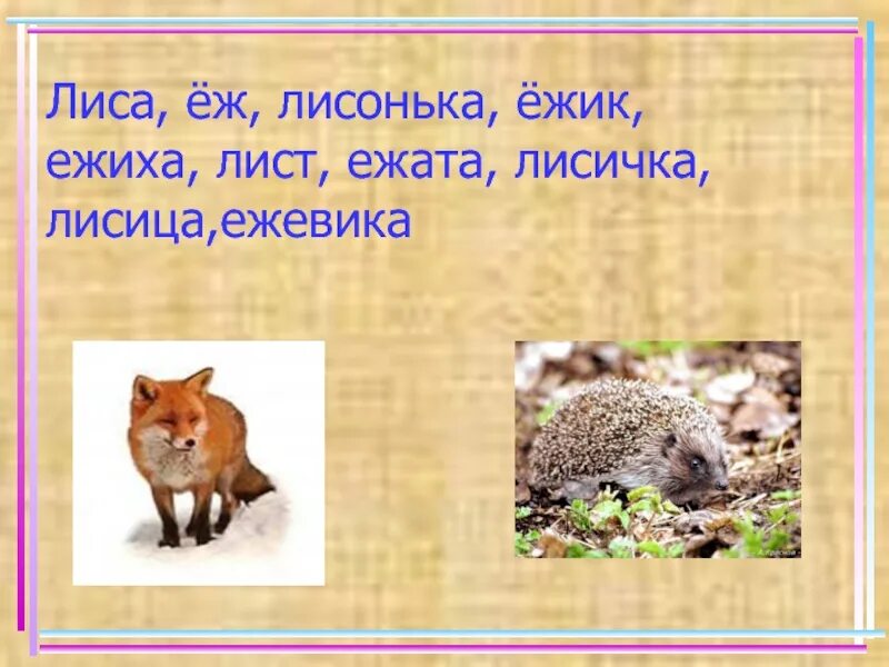Лиса лист однокоренные слова. Ежик однокоренные слова. еж однокоренные слова. родственные слова к слову еж. однокоренные слова к слову еж 2 класс.