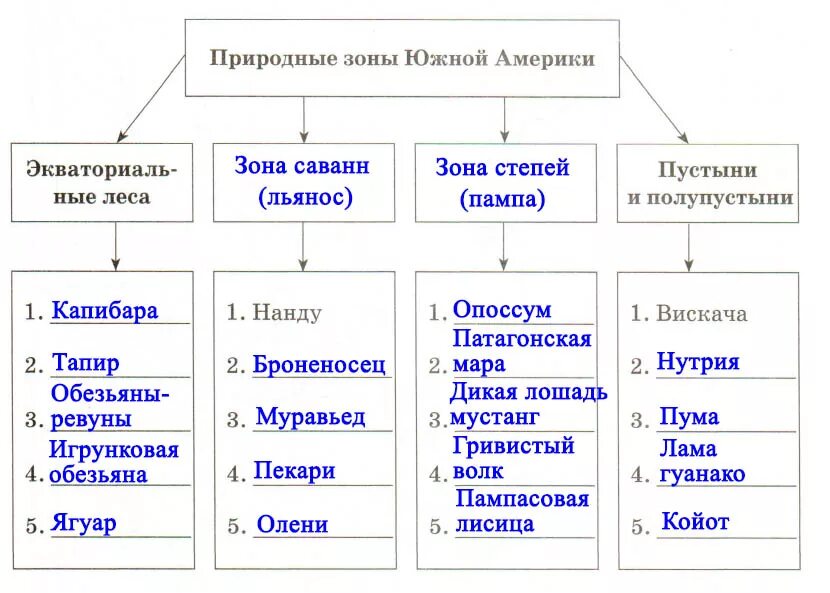 Южная Америка таблица по географии 7. Природные зоны Южной Америки таблица 7 класс география таблица. Таблича «природные зоны Южной Америки». Таблица природные зоны Южной Америки таблица.