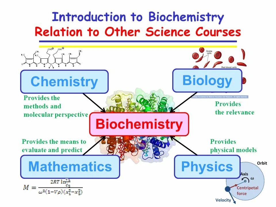 Organic and inorganic theory. The names of the fields of science. Branches of chemistry. Importance of chemistry. Chemistry and life.