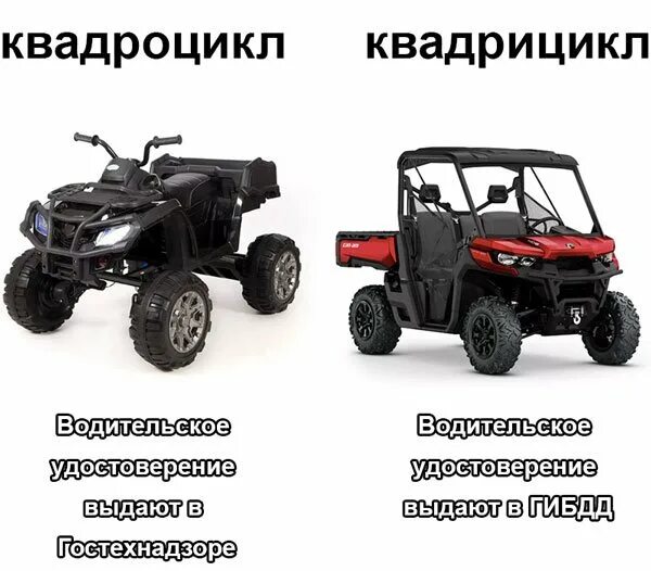 Эксплуатация детского квадроцикла. Квадрицикл категория в1. Со скольки лет можно водить квадроцикл. Со скольки лет можно водить квадроцикл. Квадроцикл и квадрицикл отличия.