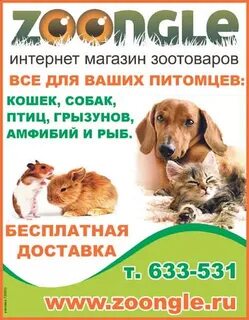 Кеша магазин зоотоваров смоленск