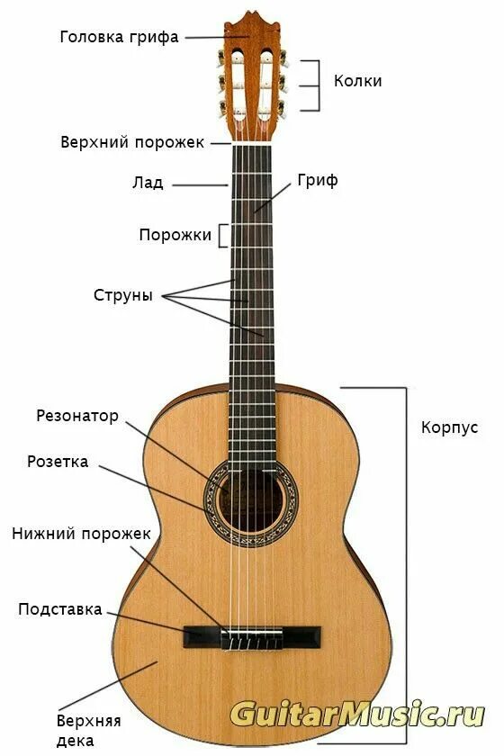 Строение гитары акустической 6 струнной. Схема гитары классической 6 струнной. Строение гитары классической 6 струнной. Гитара акустическая 6 струнная схема.